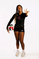0F9A4146-TOMBALL_VOLLEYBALL-(BROWN)