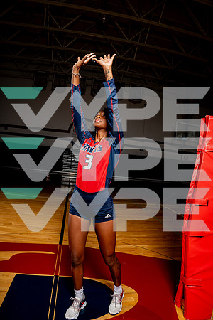DAVIS_VB-(COLLIER)-21