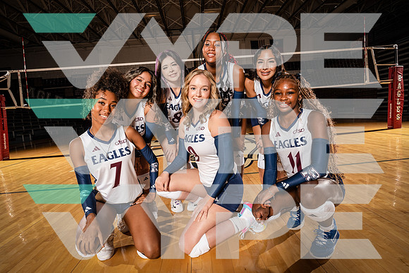 ROWLETT_VB_00090-(COLLIER)