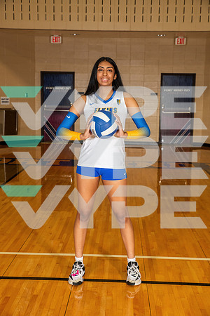 ELKINS_VB_6000-(WRIGHT)