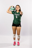 COOPER_VB-(BROWN)-15