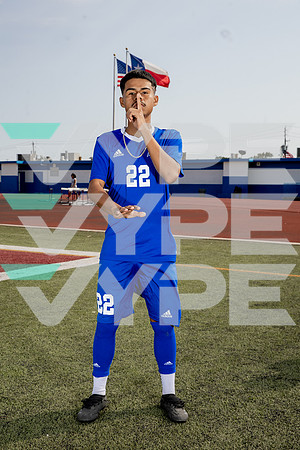 ALDINE_SOC-(BROWN)-568
