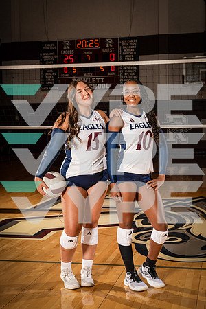 ROWLETT_VB_00111-(COLLIER)
