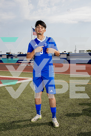 ALDINE_SOC-(BROWN)-608