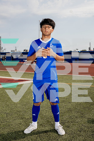 ALDINE_SOC-(BROWN)-611