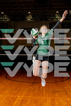 COOPER_VB-(COLLIER)-42