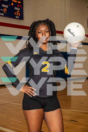 EISENHOWER_VOLLEYBALL_0174-(BROWN)