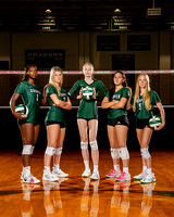 COOPER_VB-(COLLIER)-2