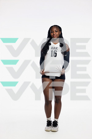 KLEIN OAK_VB-(COLLIER)-73