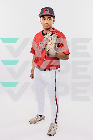 LANGHAM CREEK_BSBL-(BROWN)-220