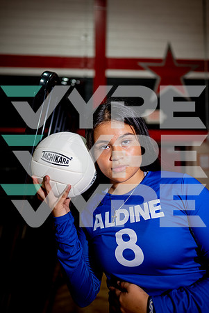 ALDINE_VB_09942-(DRISKILL)