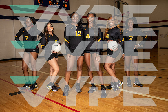 EISENHOWER_VOLLEYBALL_0145-(BROWN)