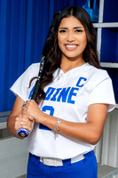 ALDINE_SFBL-(COLLIER)-00199