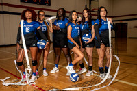 ALDINE_VB_0224-(BROWN)