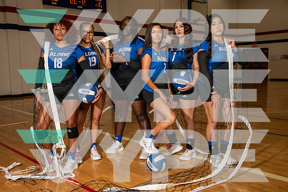 ALDINE_VB_0224-(BROWN)