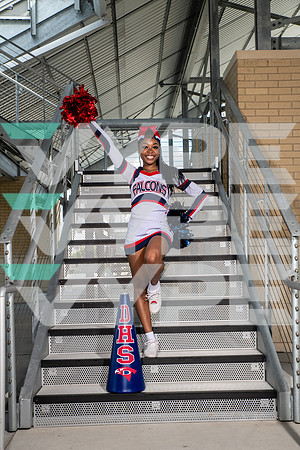 DAVIS_CHEER_9773-(BROWN)