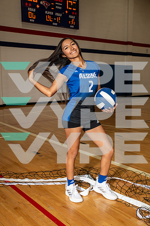 ALDINE_VB_0264-(BROWN)