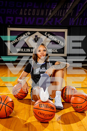 WILLIS_GBB-(BCC)-00151