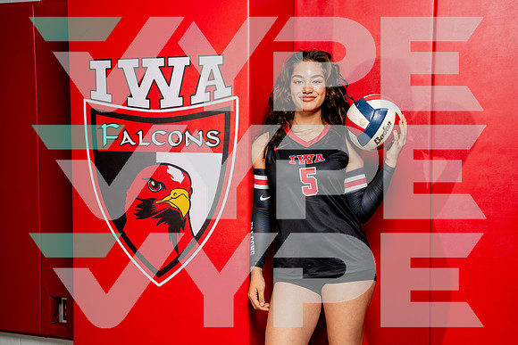 IWA_VB-(COLLIER)-14