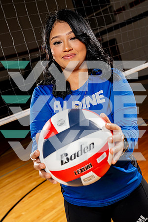ALDINE_VB-(COLLIER)-5