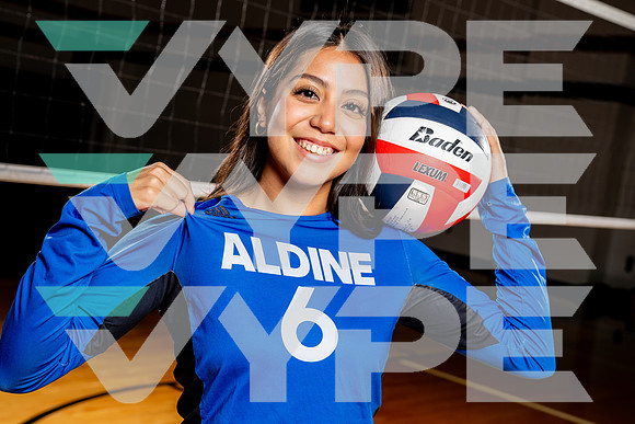 ALDINE_VB-(COLLIER)-13