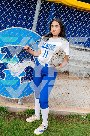 ALDINE_SFBL-(COLLIER)-00236