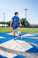 STERLING_GSOC-(BCC)-365