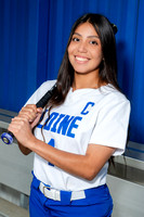 ALDINE_SFBL-(COLLIER)-00175