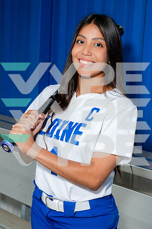 ALDINE_SFBL-(COLLIER)-00175
