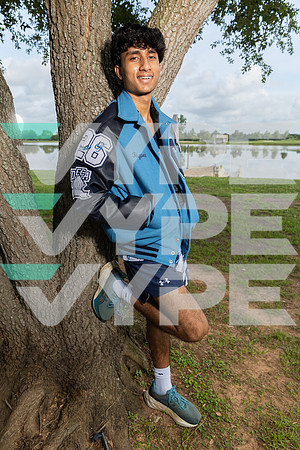 CLEMENTS_XC_0657-(BROWN)