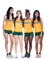 KLEIN FOREST_XC-(COLLIER)-7