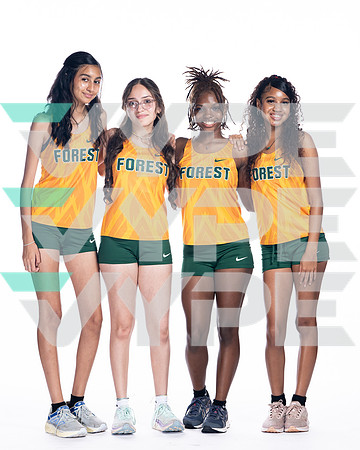 KLEIN FOREST_XC-(COLLIER)-7