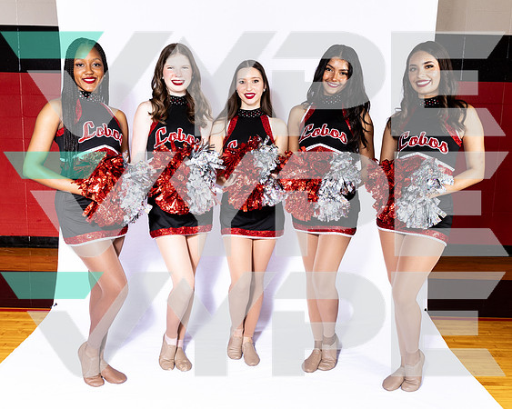 LANGHAM CREEK_DANCE-(BROWN)-22
