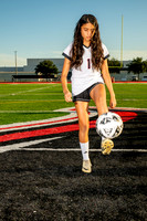 GCM_GSOC-(WRIGHT)-216