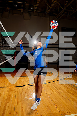 ALDINE_VB-(COLLIER)-29