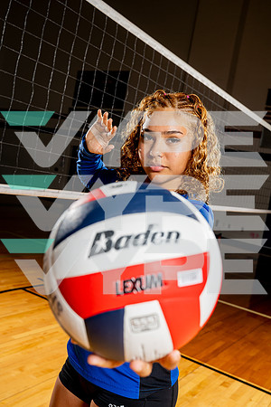 ALDINE_VB-(COLLIER)-20