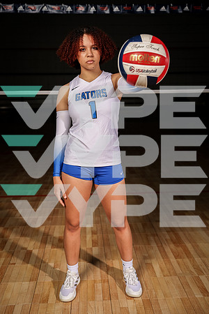DICKINSON_VB_0F9A7646-(BROWN)