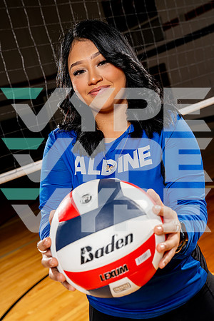 ALDINE_VB-(COLLIER)-4