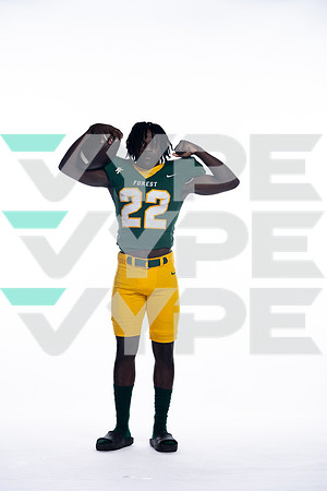 KLEIN FOREST_FB-(COLLIER)-50