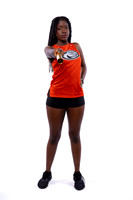 SPX_TRACK_(BROWN)-381