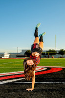 GCM_GSOC-(WRIGHT)-227