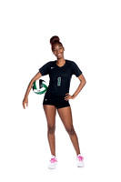 KLEIN FOREST_VB-(COLLIER)-19