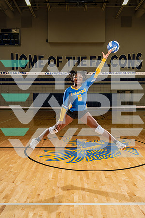 CHANNELVIEW_VOLLEYBALL_8847-(COLLIER)