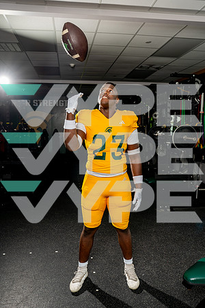 TWCA_FB-(COLLIER)-22