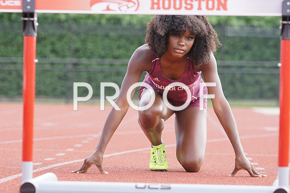 big.Morgan Taylor (Summer Creek) by Ted Bell