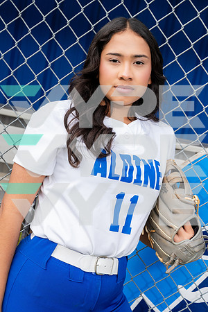 ALDINE_SFBL-(COLLIER)-00231