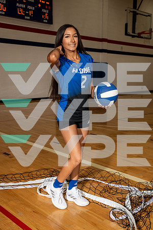 ALDINE_VB_0265-(BROWN)