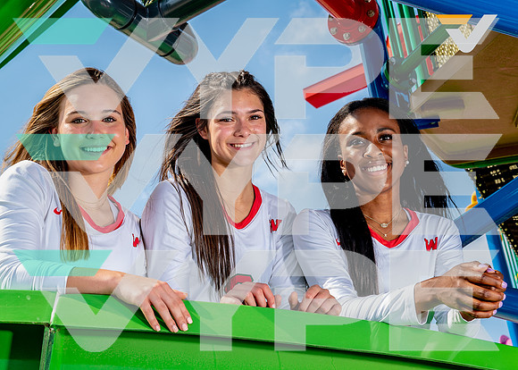 WOODLANDS_VB_TEAM_372-(BCC)