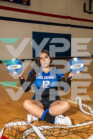ALDINE_VB_0246-(BROWN)