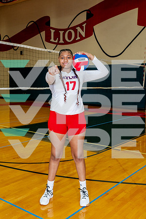 TAYLOR_VB-(WRIGHT)-16